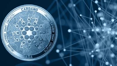 Блокчейн-проект Cardano объявляет о значительных инвестициях для укрепления своей экосистемы! Вот подробности