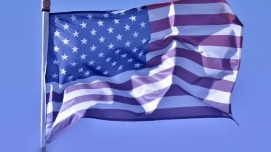 Forbes оценил потери инвесторов American Bitcoin в 0 млн