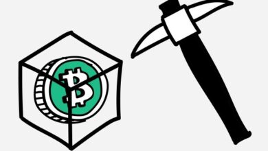 Майнер добыл блок биткоина при 1 шансе в 300 лет. Сколько он заработал