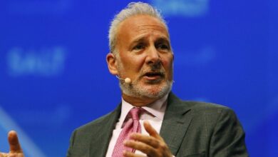 Шифф не согласен с прогнозом Вуд на рост курса биткоина до ,5 млн