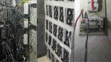 В Воронеже инженер организовал сеть нелегальных ферм для майнинга