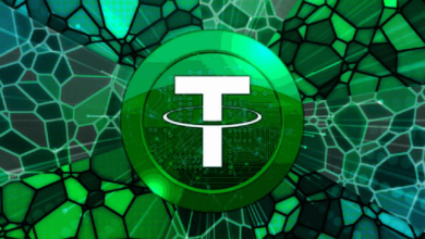 Ориентированный на США стейблкоин Tether вырос более чем на 500% за месяц, но по-прежнему отстает от основных конкурентов