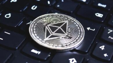 Виртуальная машина с нулевым разглашением: что такое и как работает zkEVM