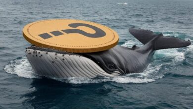 Внимание, крупный инвестор! Появились ранее неизвестные данные с 2023 года! Подробности