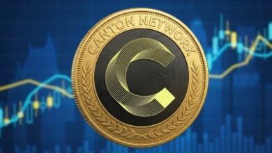 Canton Network возглавила рейтинг по объёму комиссий благодаря активности институциональных инвесторов в первом квартале 2026 года