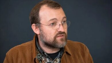 Основатель Caardano (ADA) Чарльз Хоскинсон сделал смелые заявления во время масштабного падения!
