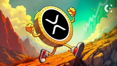 Предложение на бирже XRP сокращается, поскольку резервы Binance достигли четырёхмесячного минимума
