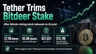 Tether сокращает долю в Bitdeer после того, как развитие ИИ привело к росту акций компаний, занимающихся майнингом биткоинов
