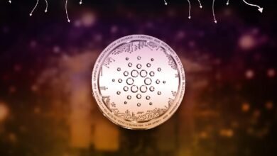 Разработчики Cardano предали управление узлом сообществу