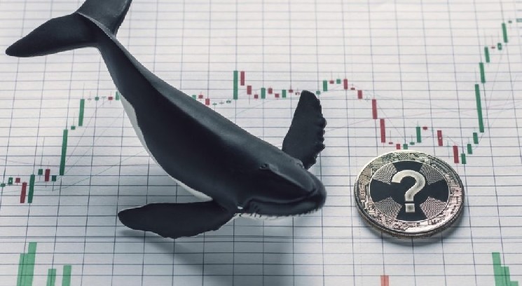 
			Утверждения инсайдеров о самом обсуждаемом альткоине последних дней! &laquo;Крупный инвестор вошел с 3000 долларов и вышел с 2,85 миллионами долларов!&raquo;		