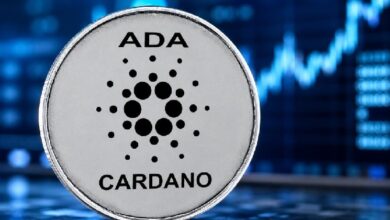 Внимание, подписчики Cardano (ADA): в августе грядут масштабные изменения!