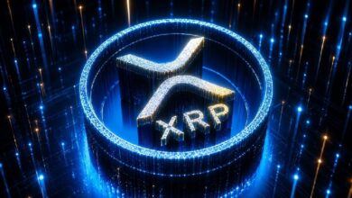 Бывший технический директор Ripple Дэвид Шварц сделал признание об XRP! Он рассказал, сколько XRP у него еще осталось!