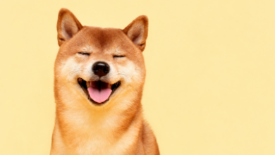 Dogecoin подшутил над «Человеком-пауком»: мемкоину нужны еще 11 таких премьер