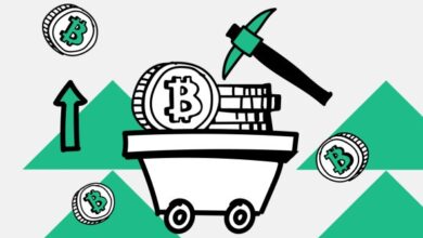 Доходность майнинга за месяц выросла на 10%. Сколько стоит добыть биткоин