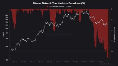 Хешрейт биткоина снизился на 17 % по сравнению с рекордным показателем, поскольку майнеры переключаются на ИИ