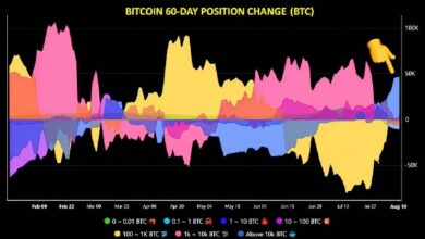 «Кит-инвесторы» в биткойнах увеличили свои запасы на 43 000 BTC, положив конец продолжавшейся несколько месяцев волне продаж