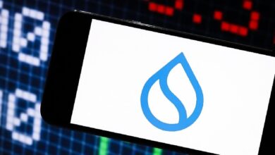 Объем депозитов в биткоинах на мосте Hashi от Sui превысил 1,1 миллиона за 3 недели