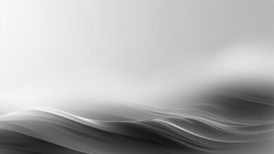 Plume присоединилась к рабочей группе DTCC