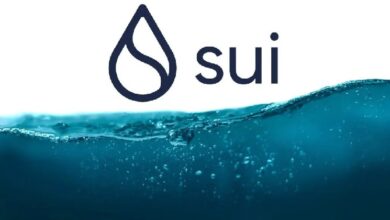 Сеть Sui Blockchain представляет новую функцию инфраструктуры, ориентированную на конфиденциальность! Вот подробности