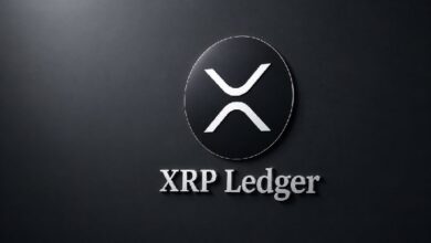 XRP получит новое обновление: вот что вам нужно знать