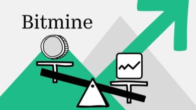Главный холдер эфира Bitmine назвал факторы роста крипторынка