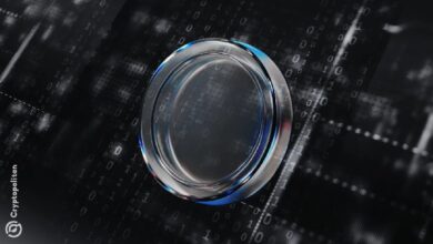 Хакер из Blockstream, использующий технологию Liquid, требует награду за оставшиеся 600 BTC
