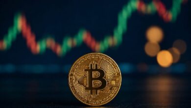 Китайский основатель предупреждает о биткоине: «Возможны значительные колебания цены»