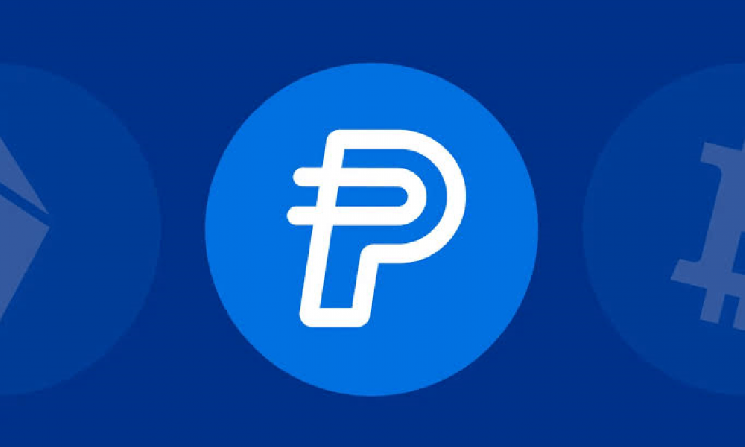 
			PayPal расширяет инфраструктуру для стейблкоинов, запуская платформу для выпуска собственных токенов		