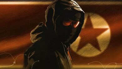 Правоохранители предупредили о группировке «соискателей» из КНДР