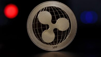 Ripple (XRP) неожиданно быстро вырос в одной области! Опубликованы последние данные
