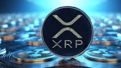 XRP достиг нового рекорда: пик транзакционного трафика! Что это значит?