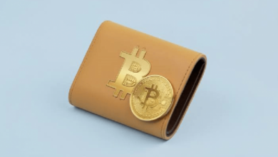 Биткоин эпохи Сатоши сталкивается с большей квантовой угрозой после нового прорыва Google в Willow