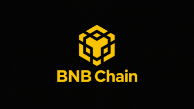 BNB Chain: держателей RWA достигло 2 млн — 40% рынка ончейн-активов BNB Chain: держателей RWA достигло 2 млн — 40% рынка ончейн-активов