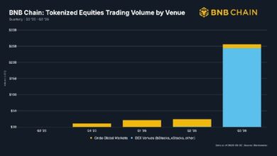 BNB Chain обогнала Solana и Robinhood: объем торгов акциями 25,6 млрд$