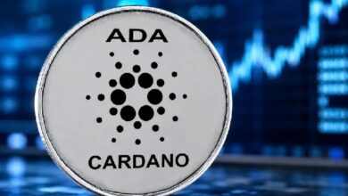 Cardano нашла крупного партнера из Бразилии: нефтяной гигант внедряет авиационное топливо в блокчейн! Вот подробности