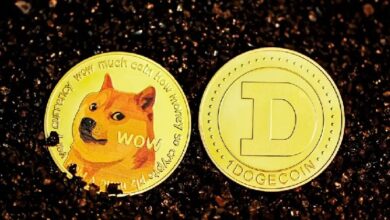 ETF Dogecoin: Огромное разочарование: Почему миллионы инвесторов DOGE не проявили интереса? Вот подробности