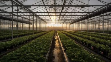 Open Food Chain внедряет блокчейн в цепочки поставок продуктов Open Food Chain внедряет блокчейн в цепочки поставок продуктов