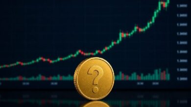 Сегодня эти две группы альткоинов переживают огромный всплеск! Может ли это иметь последствия для будущего?